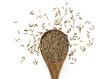 Cumin seeds in wooden spoon on a white background. Top view.
