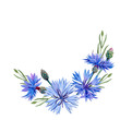 Watercolor hand painted  cornflower decorative border. Can be used as print, postcard, wedding invitation, greeting card, packaging design, textile, sticker, and so on.