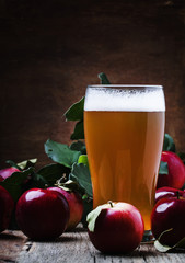 Wall Mural - Apple cider in a large beer glass, black background, top view