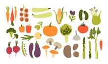 Collection Of Colorful Hand Drawn Fresh Delicious Vegetables Isolated On White Background. Bundle Of Healthy And Tasty Vegan Products, Wholesome Vegetarian Food. Flat Cartoon Vector Illustration.