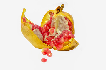 pomegranate fruit