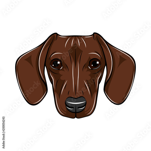 Illustrated Portrait Of Dachshund Dog Cute Short Haired Red