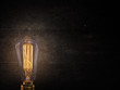 Vintage Edison light bulb on dark background.