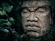 Olmec Sculpture Carved From Stone. Big Stone Head Statue In A Jungle