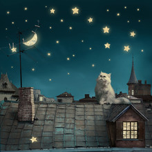 Surreal Fairy Tale Art Background, Cat On Roof, Night Sky With Moon And Stars