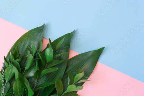 Fotografía Tropical decorative leaves on a pink background