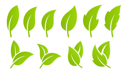 green leaf set. eco