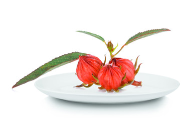 Wall Mural - roselle in white plate on white background