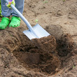Planting plants step by step / ornamental shrub - digging the hole