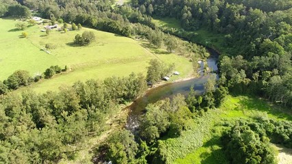 Wall Mural - Mountain small Bellinger river near Dorrigo national park in rural regional NSW with green trees on its shores and remote caravan parks with tourists.
