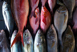 Fresh fish in the market close up. Buy marine food in local shop