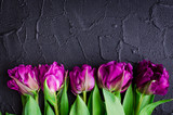 Fototapeta Tulipany - Purple tulips on black background