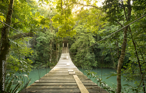 Obrazy most w dżungli  spokojna-lesna-kladka