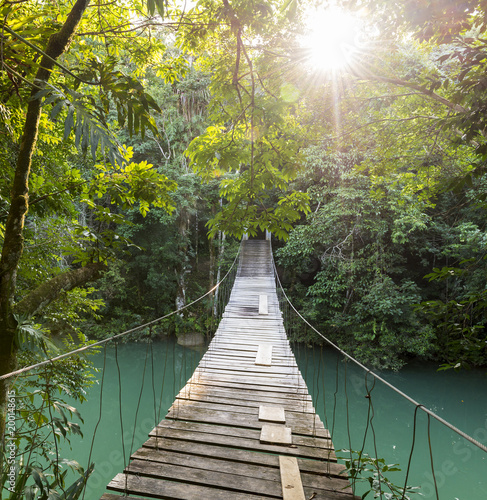 Plakat most w dżungli   spokojna-lesna-kladka