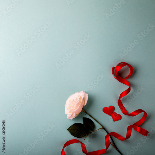 Plakat Biała Róża kwiat wstążki na kolorowe tło wakacje naturalny Walentynki prezent z miłości kształt serca Płaskie świeckich widok z góry Kopiować miejsca na tekst