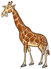 Giraffe Animal Character Cartoon Illustration
