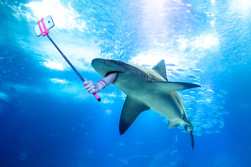 underwater white shark taking a selfie picture with a human arm holding a selfie stick. undersea mar