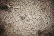 © Wavebreak Media - Close-up of dry field