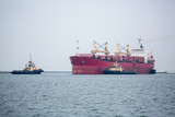 Fototapeta Desenie - Vessel dry cargo on loading, unloading in port. Bulker in port.