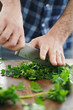 Male hands chopping fresh parsley close up