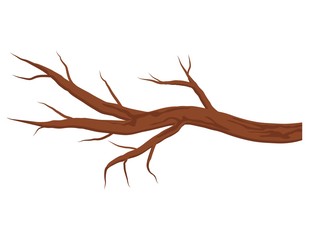 bare brown tree branch without leaves isolated on white background. autumn or winter branch. vector 