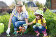 Cute kid girl helps her mom to care for plants. Mother and her daughter engaged in gardening in the backyard. Spring concept, nature and care.