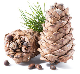 Wall Mural - Pine nuts cone and pine nuts on the white background. Organic food.