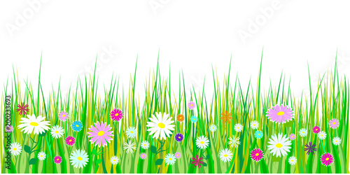 Spring grass and flowers borders. Easter decoration with ...