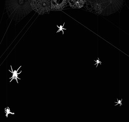 Wall Mural - white five spiders hanging on webs
