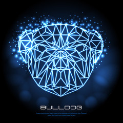 Wall Mural - Abstract polygonal tirangle animal bulldog neon sign. Hipster animal illustration.