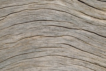 wooden