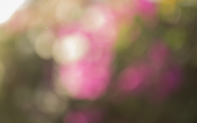 colour bokeh