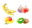 Watercolor hand drawn set fruist hand-painted isolated. Eco food menu background. Vector colorful illustration. Banana, mango, kiwi, ginger.
