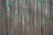 Old Wooden Fence Gray Tree With The Remnants Of Green Paint