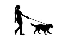 Silhouette Of Women Walking With Their Pets