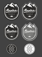 patch snow winter mountain vector logo
