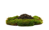 Fototapeta Kuchnia - Green moss with dirt pile isolated on white background