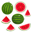 Bright vector set of juice watermelon isolated on white background.