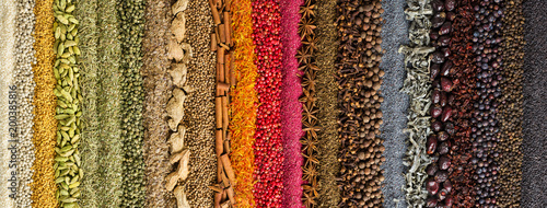 Zdjęcie XXL Indyjskie przyprawy i zioła tło. kolorowe przyprawy, widok z góry.