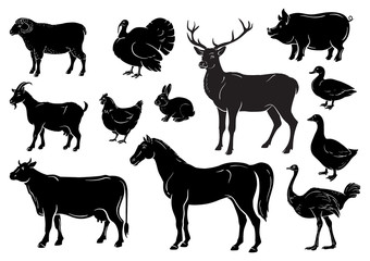 Farm animals icons set. Collection of labels with beautiful such as goat chicken pig boar duck goose horse cow Turkey hare ostrich deer butcher shop, steak house. Vector illustration