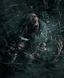 3d illustration portrait of scary ghost woman in woods vine,Horror image,Ghost image concept and ideas