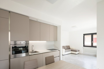  Minimal kitchen in a modern apartment