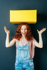 Wall Mural - Young cheerful woman with yellow box on her head