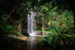 Beautiful waterfall in green jungle oasis