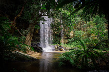Beautiful Waterfall In Green Jungle Oasis