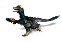 Deinonychus - Dinosaur With Feathers