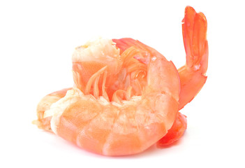 Canvas Print - Fresh shrimps