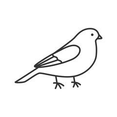 Sticker - Canary linear icon