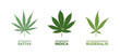 Cannabis types and leaf shapes