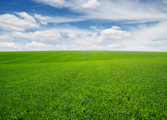 green field and clouds